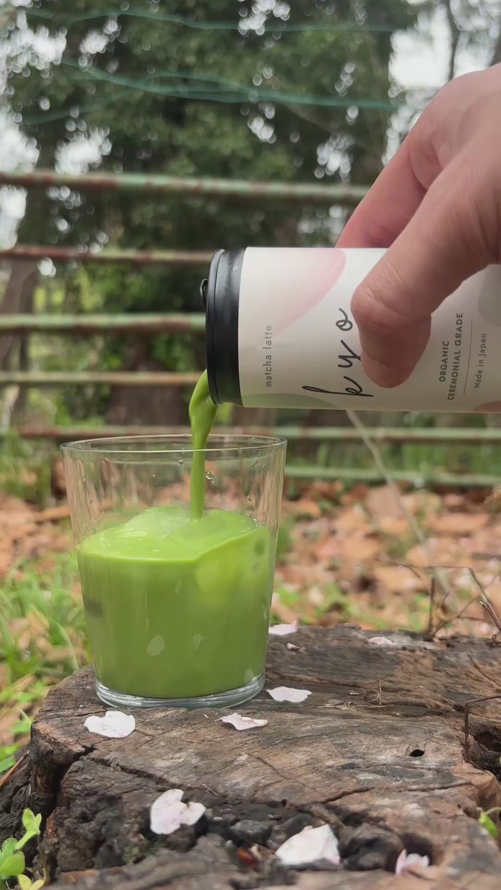 Kyo Matcha Latte