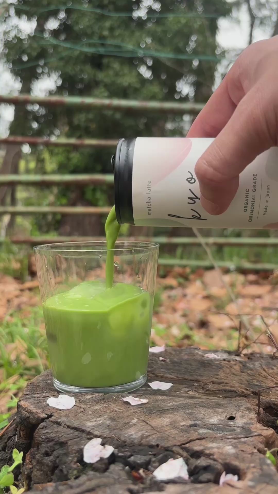Kyo Matcha Latte